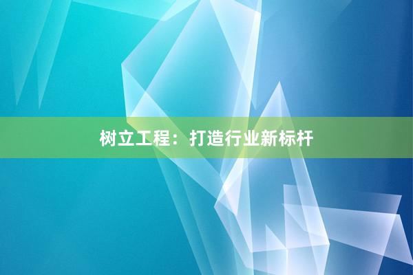树立工程：打造行业新标杆